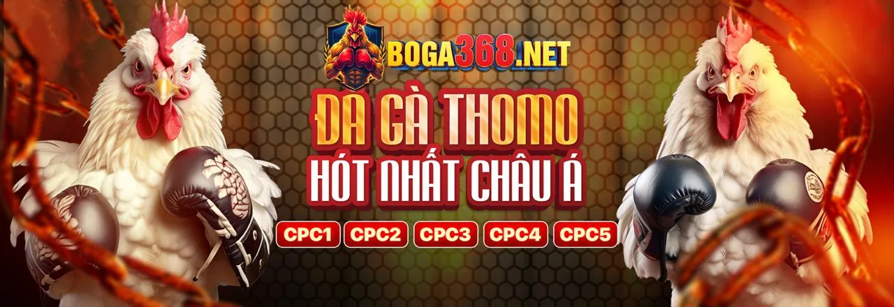 Tổng quan về nền tảng 21tr88, nhấn mạnh sự tin cậy và bảo mật