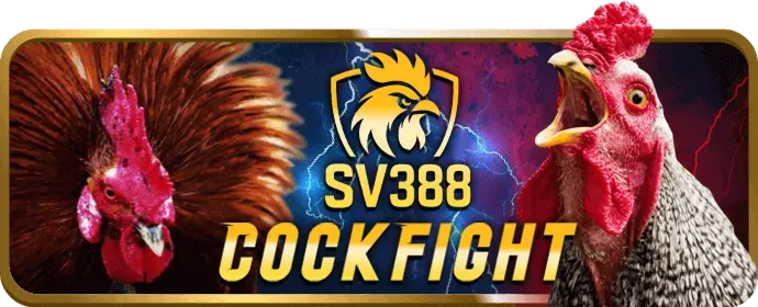 Ưu đãi sự kiện đặc biệt 21tr88